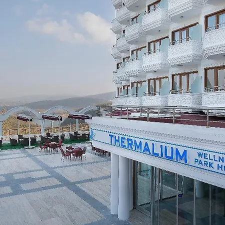 Thermalium Wellness & By Vima 4* ילובה