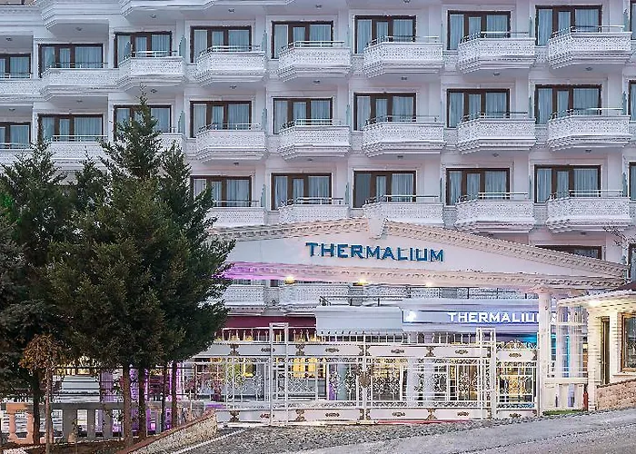 Отель Thermalium Wellness Park 4*